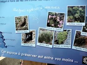 photo coins arrondis